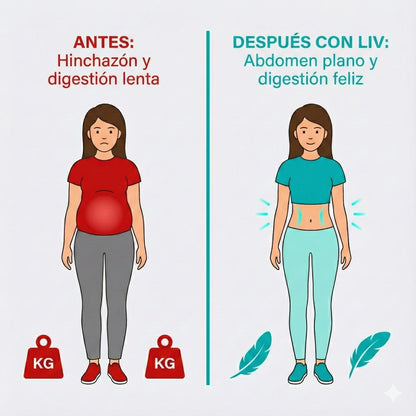 LIV | Detox Digestivo & Vientre Plano (Sabor Manzana Verde)